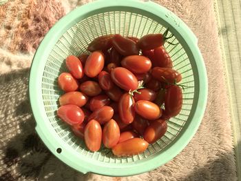 12月4日にミニトマト収穫