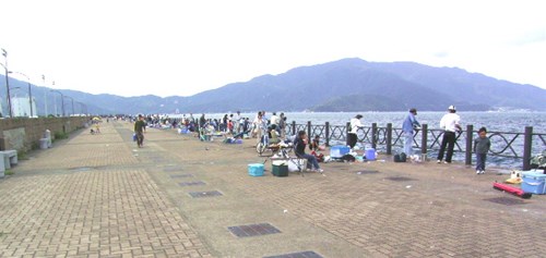 敦賀新港の釣り公園