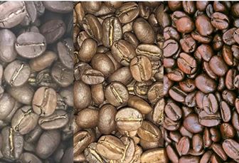 コーヒー豆の種類