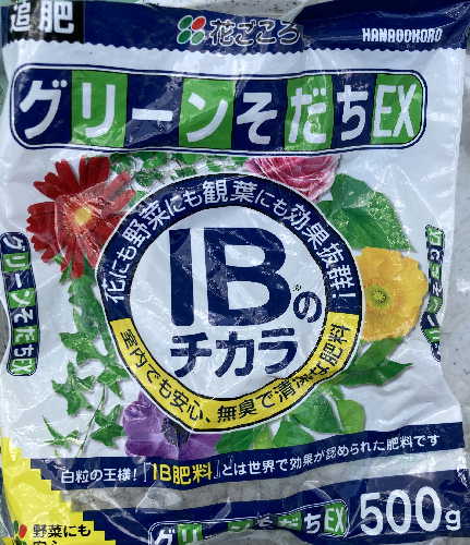 IBのチカラ